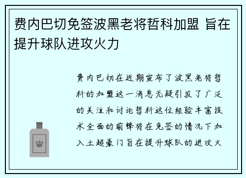 费内巴切免签波黑老将哲科加盟 旨在提升球队进攻火力 费内巴切免签波黑老将哲科加盟 旨在提升球队进攻火力