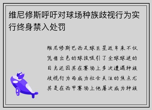 维尼修斯呼吁对球场种族歧视行为实行终身禁入处罚